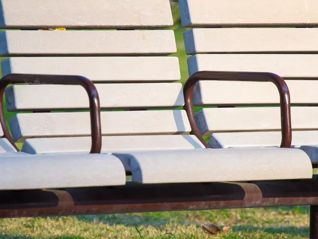 In this picture we can see a few benches from left to right. Some grass and a few leaves are...