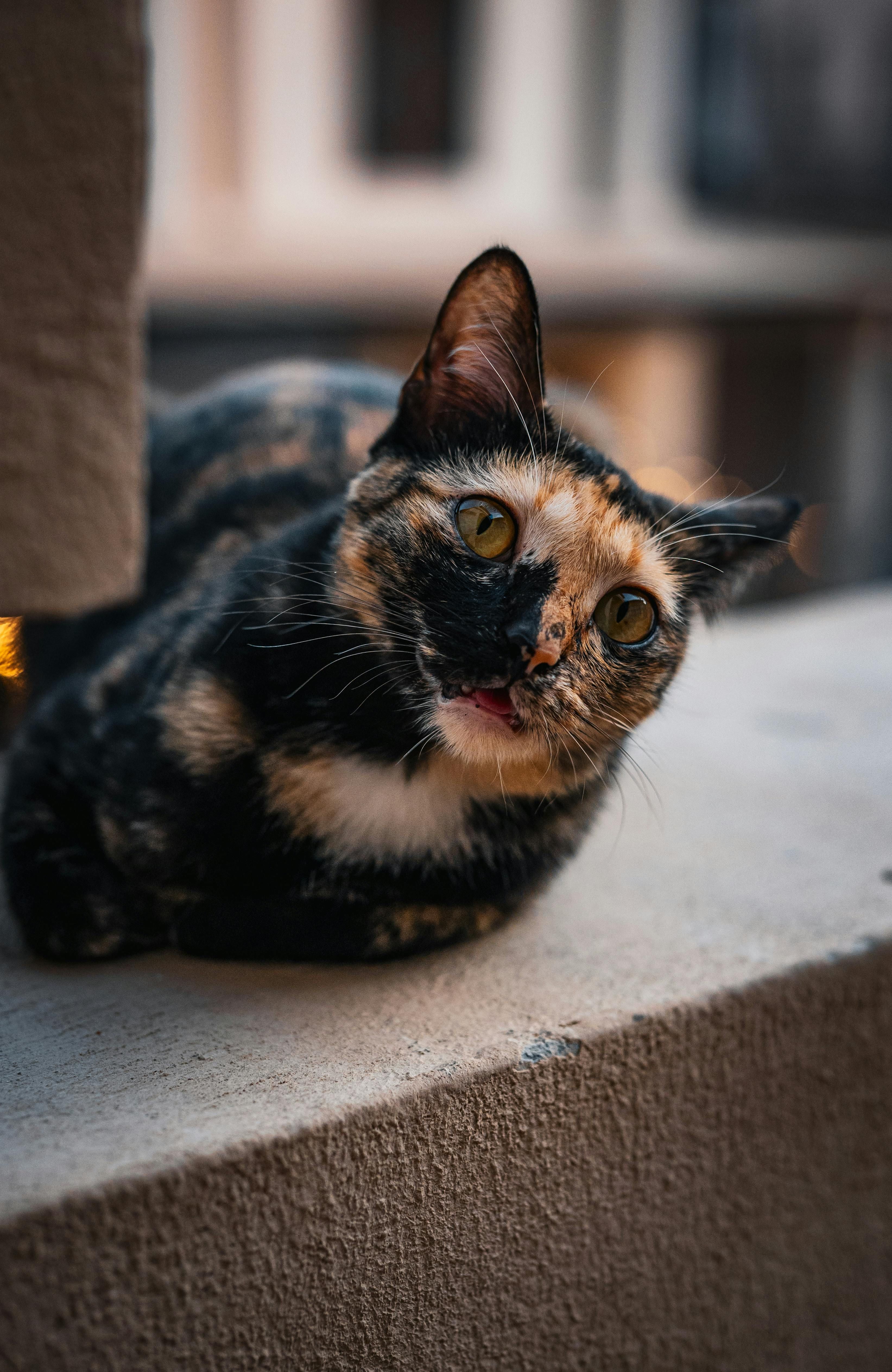 Embroidery artist Tuesday Greenidge commemorates the victims of the 2017 fire, creating individual pieces.