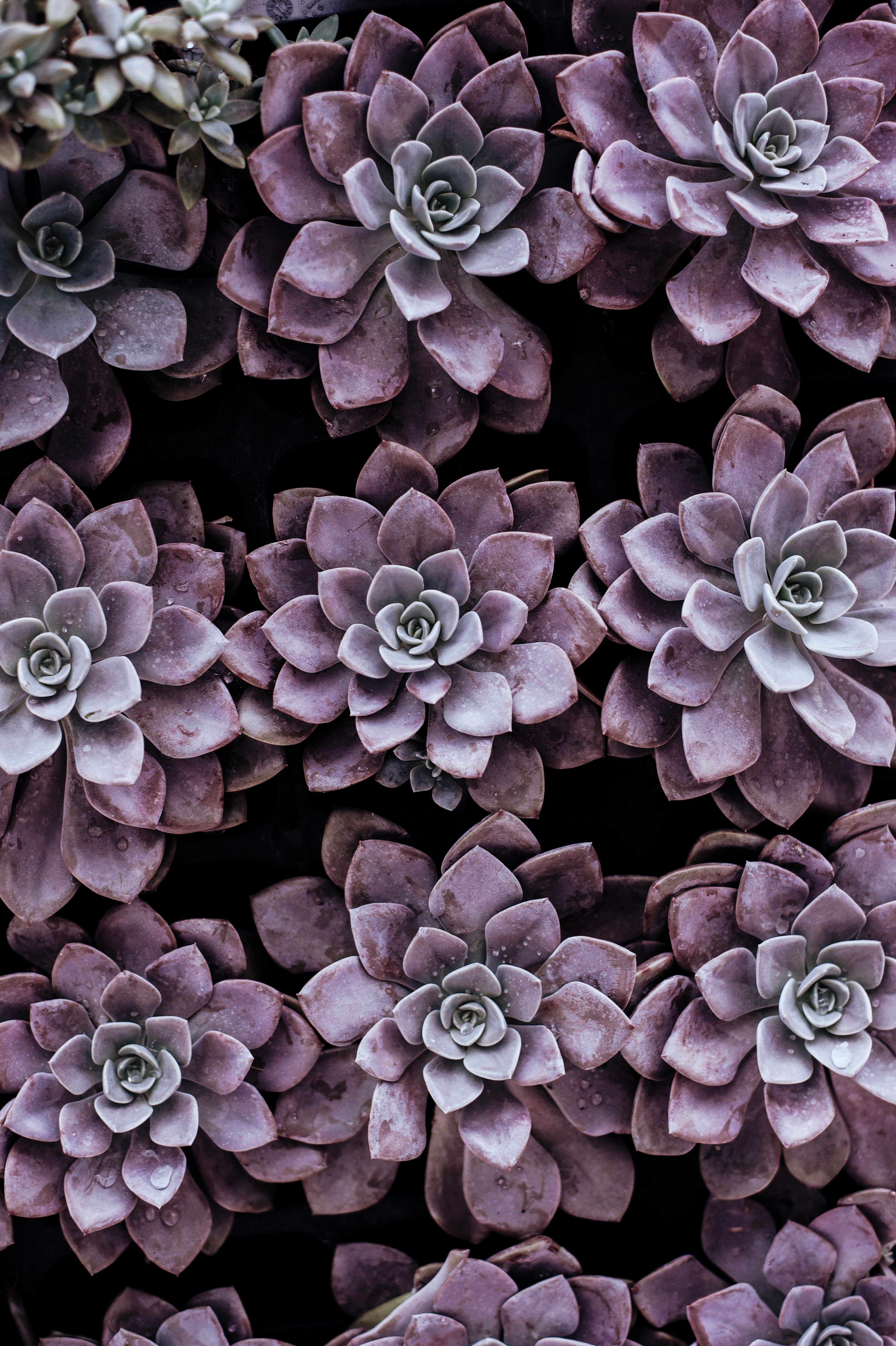 Transform Primitive Hues into Elegant Tones with an Interior Designer's Secret Techniques