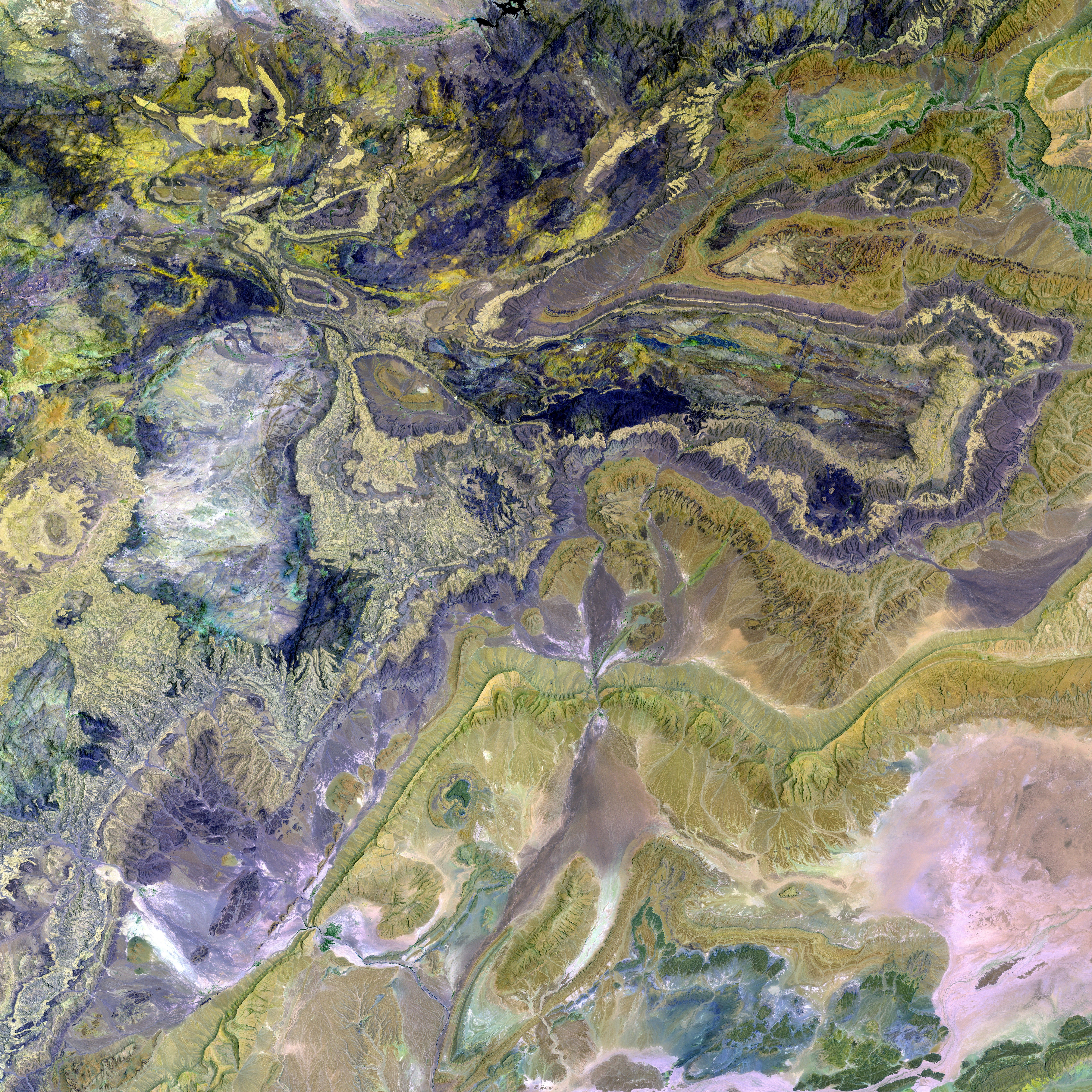 Pondering over the distinctions between two captivating woodland dwellers: elk versus deer people...