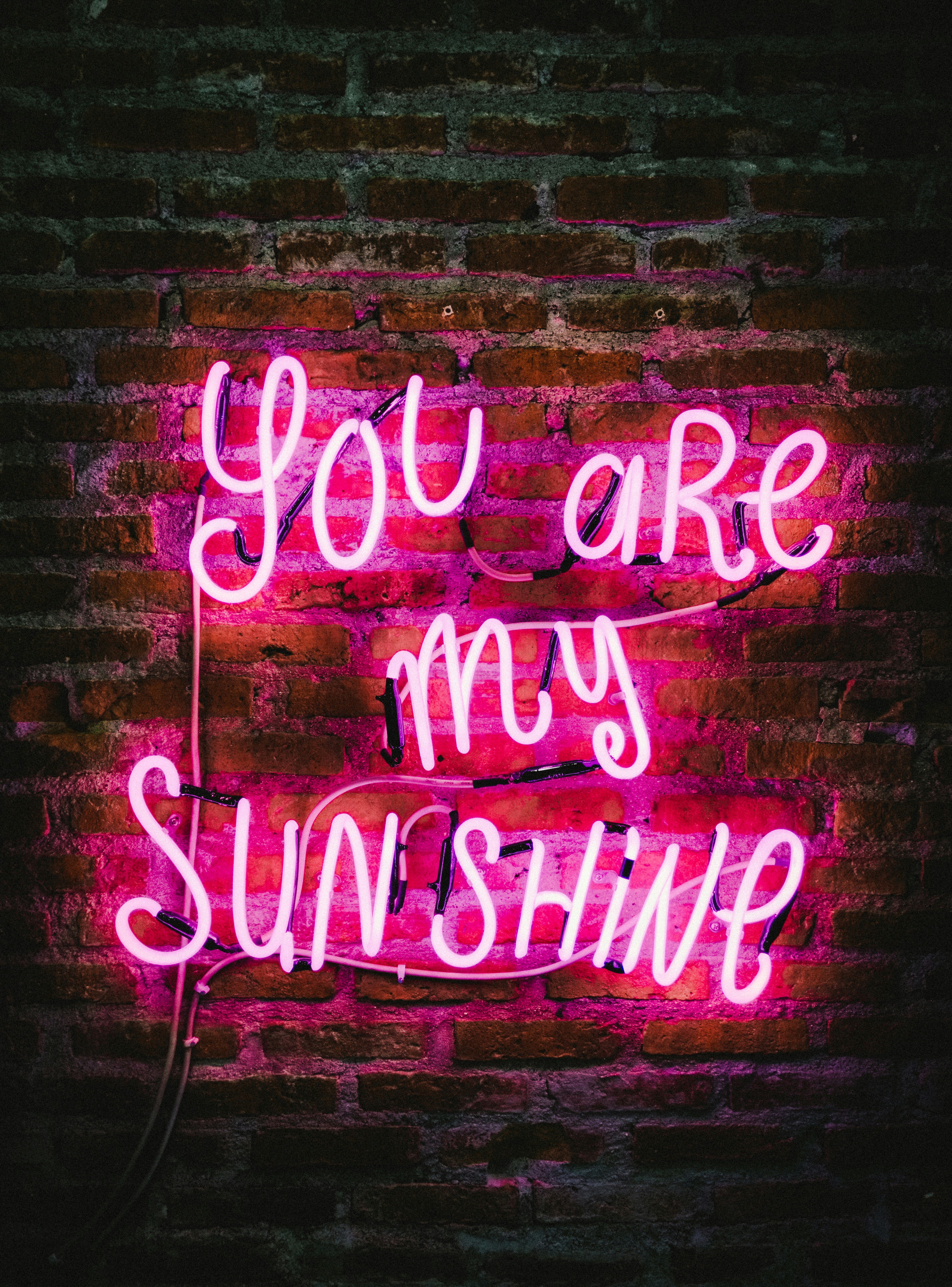 Explore the American Writers Museum in March for a plethora of captivating activities, displays,...