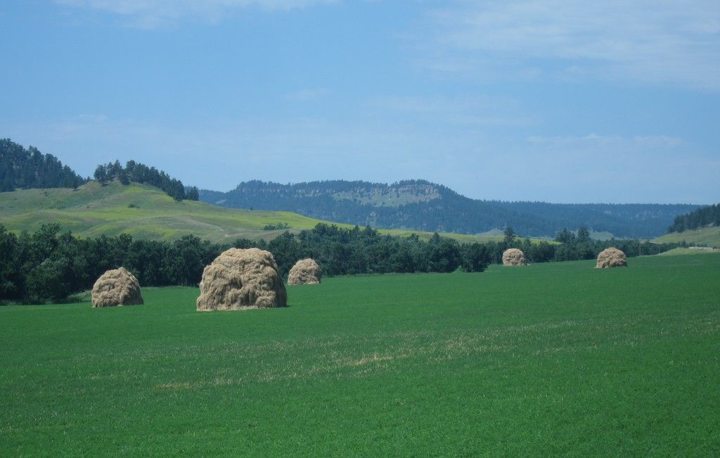 Investigating eco-friendly labeling methods vital for companies aiming to lessen their ecological...