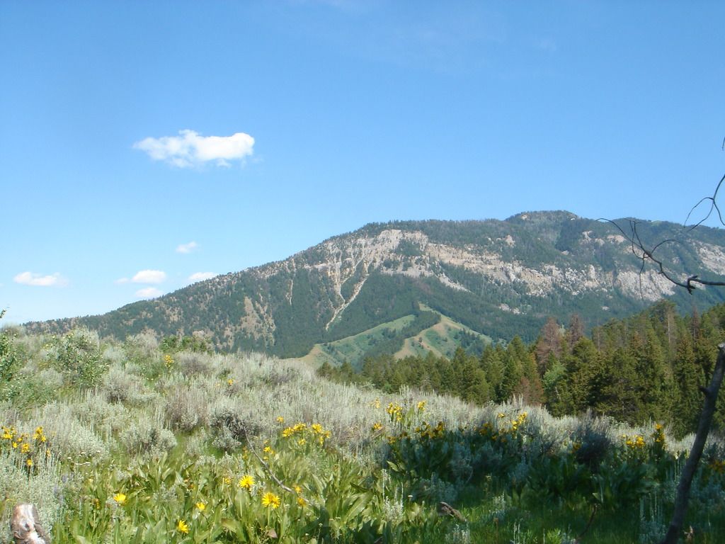 Prepare for summer gatherings by employing these hassle-free home preparation strategies found on...